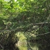 lake_mandicocha_la_v_0189_ecu0892.jpg